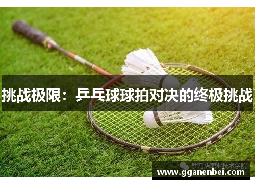 挑战极限：乒乓球球拍对决的终极挑战