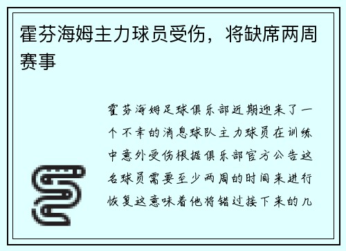 霍芬海姆主力球员受伤，将缺席两周赛事